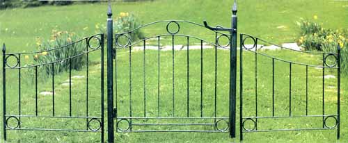 Wrought Iron Fence and gate