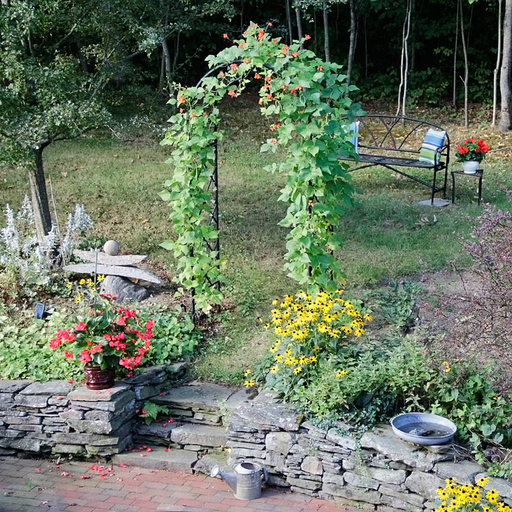 Wrought Iron Garden Arbor