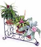 Wrought Iron Victorian Plants Stand