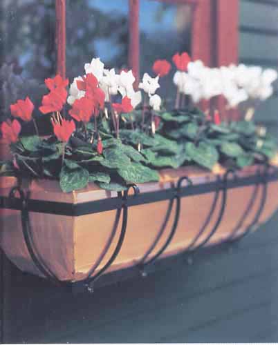 Copper Windowbox