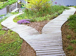 Wooden Decks and Walkways